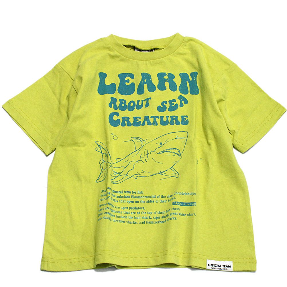 ライトグリーン