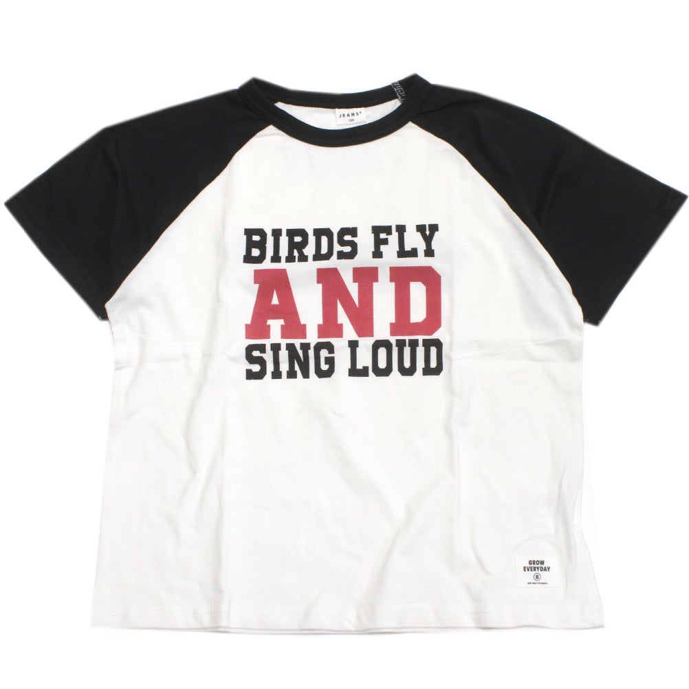 オフホワイト(OW)