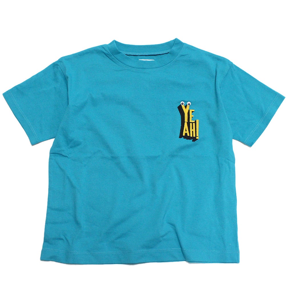 ターコイズブルー(TB)