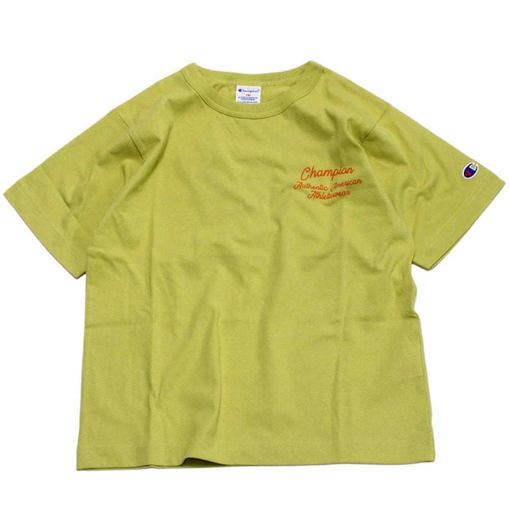 グレイッシュイエロー(743)