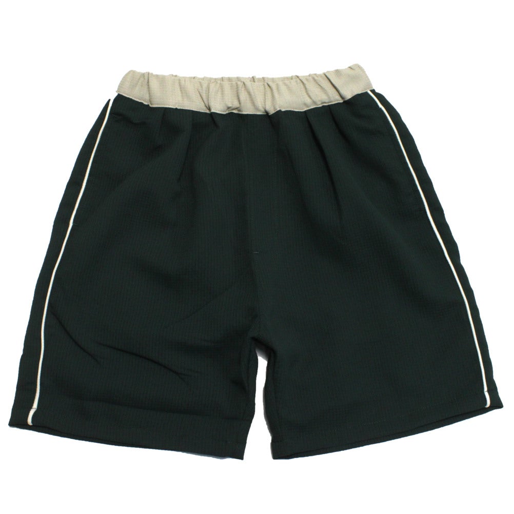 ダークグリーン(DG)