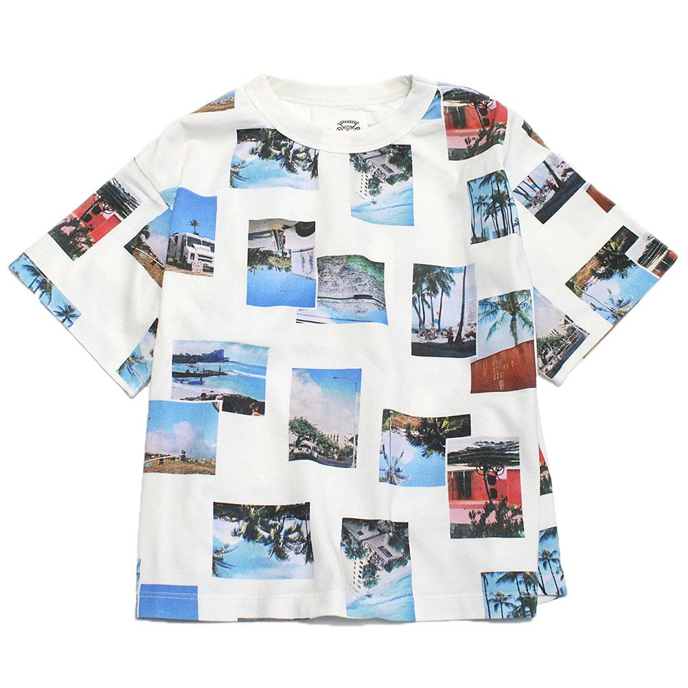 オフホワイト(OW)